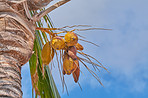 La Palma - landscape and nature