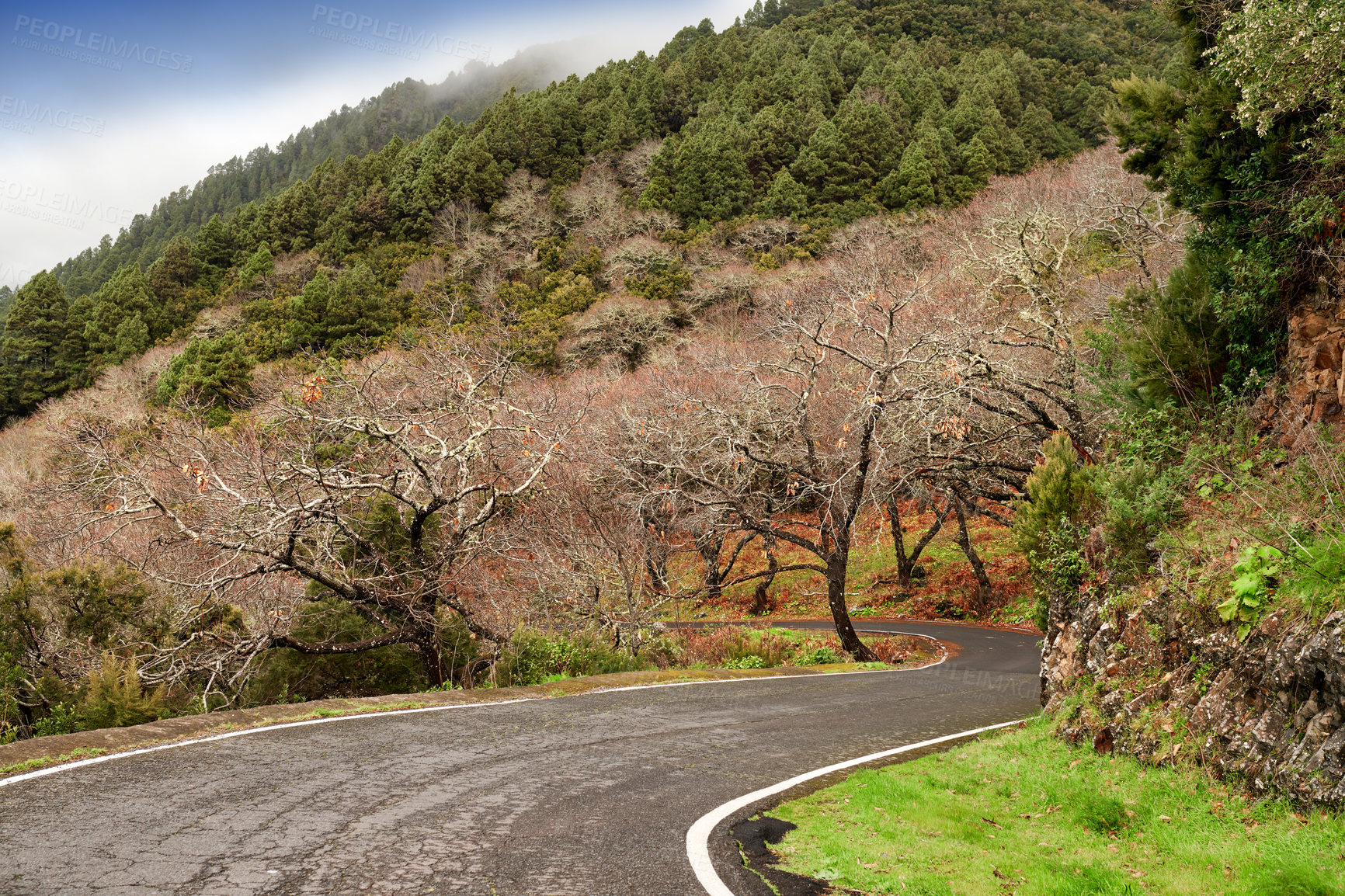 Buy stock photo Photo from the island of La Palma, Spain