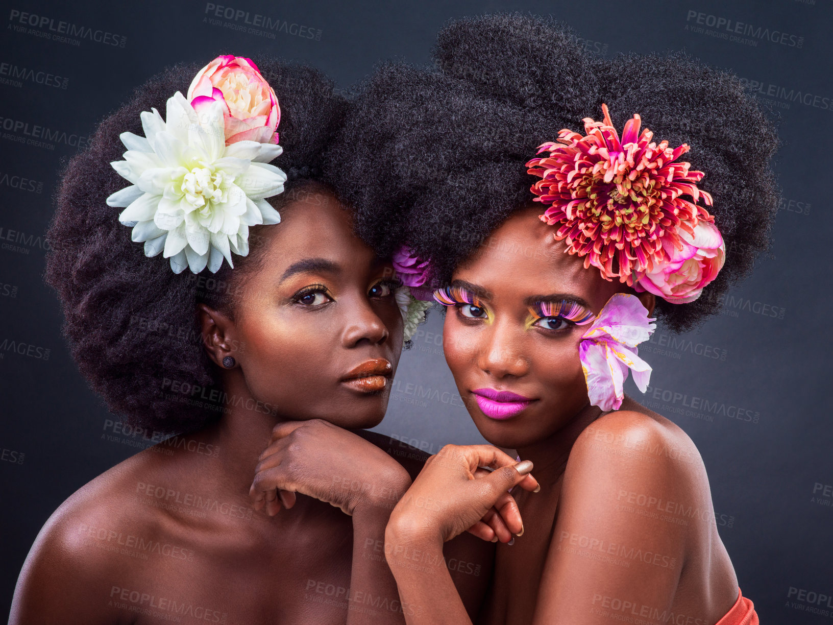 Buy stock photo Flowers, portrait and black women with makeup on dark background for organic cosmetics, makeover or skin glow in studio. Beauty, afro and models with carnation for aesthetic, eyelashes or lipstick