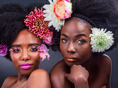 Buy stock photo Cropped shot of two beautiful women posing together with flowers in their hair