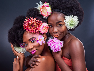 Buy stock photo Cropped shot of two beautiful women posing together with flowers in their hair