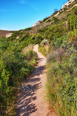 Buy stock photo Remote mountain hiking trail on Table Mountain. Mountainous walking path surrounded by bushes and trees on a mountaintop or peak. Popular walking trails and tourist attraction to explore in Cape Town