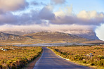 The wilderness of Cape Point National Park