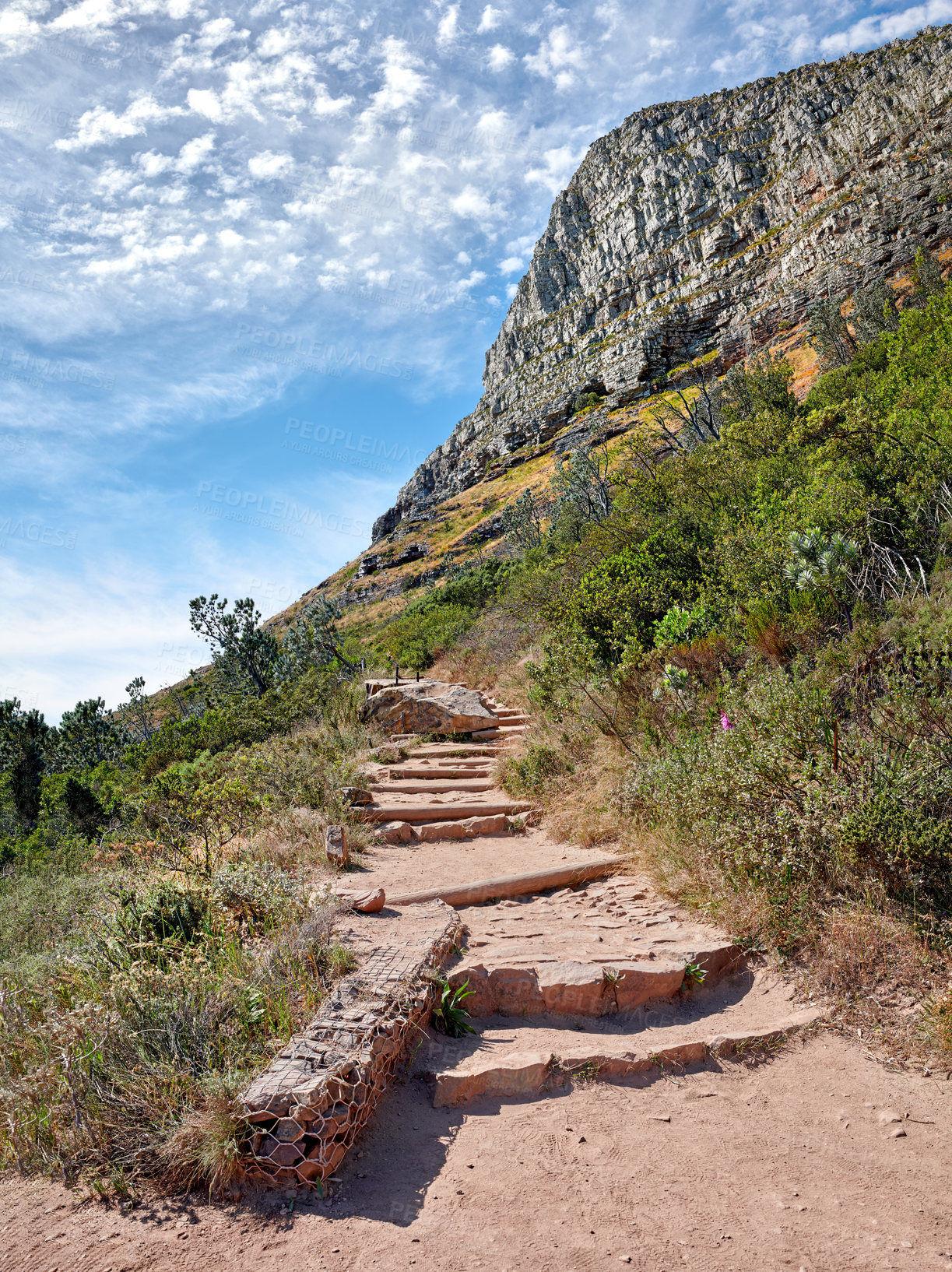 Buy stock photo Scenic hiking trail along Table Mountain in Cape Town, South Africa with lush plants against a cloudy blue sky background. Panoramic of a beautiful and rugged natural landscape to explore and travel