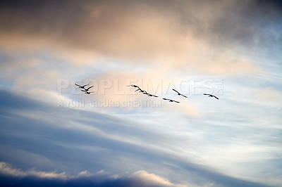 Buy stock photo a photo of natural summer clouds