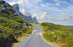 Trails of Table Mountain National Park