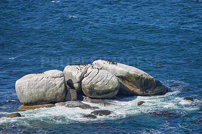 Buy stock photo Beautiful view of penguins on boulders or rocks in the middle of the sea at a beach. Coastal scenery and animal wildlife background. Ocean view of birds in their natural habitat