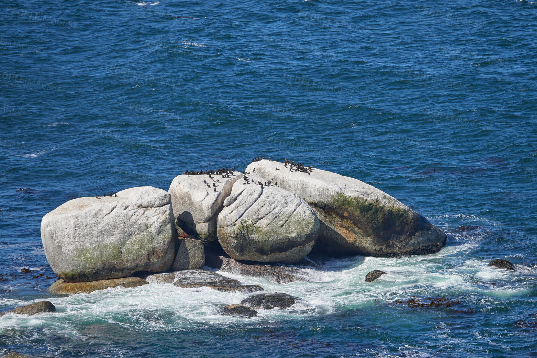 Buy stock photo Beautiful view of penguins on boulders or rocks in the middle of the sea at a beach. Coastal scenery and animal wildlife background. Ocean view of birds in their natural habitat