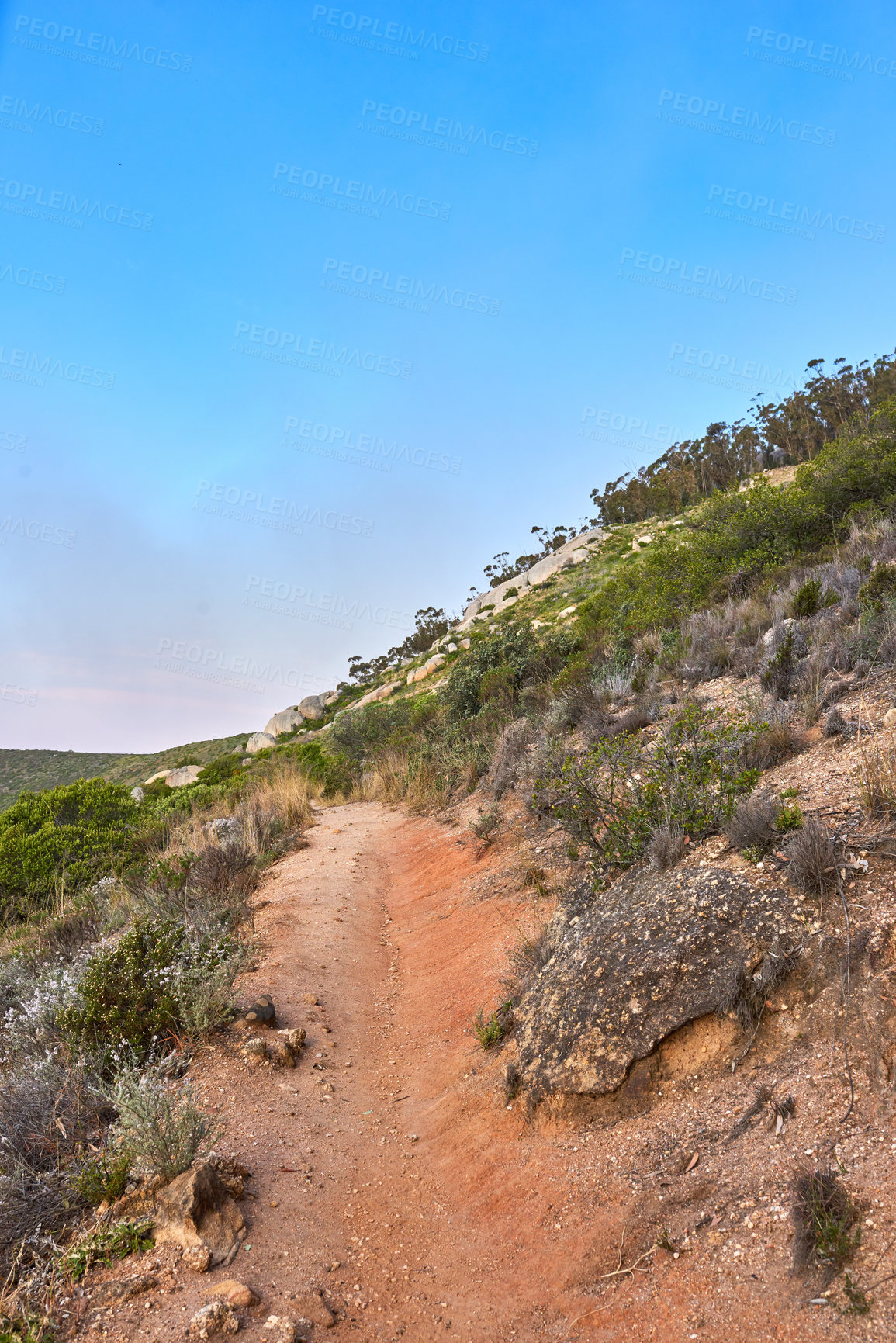 Buy stock photo Hiking trail to explore and travel in nature outdoors along the mountain with clear blue sky background and copy space. Landscape with plants and shrubs alongside a rugged and sandy path on a cliff