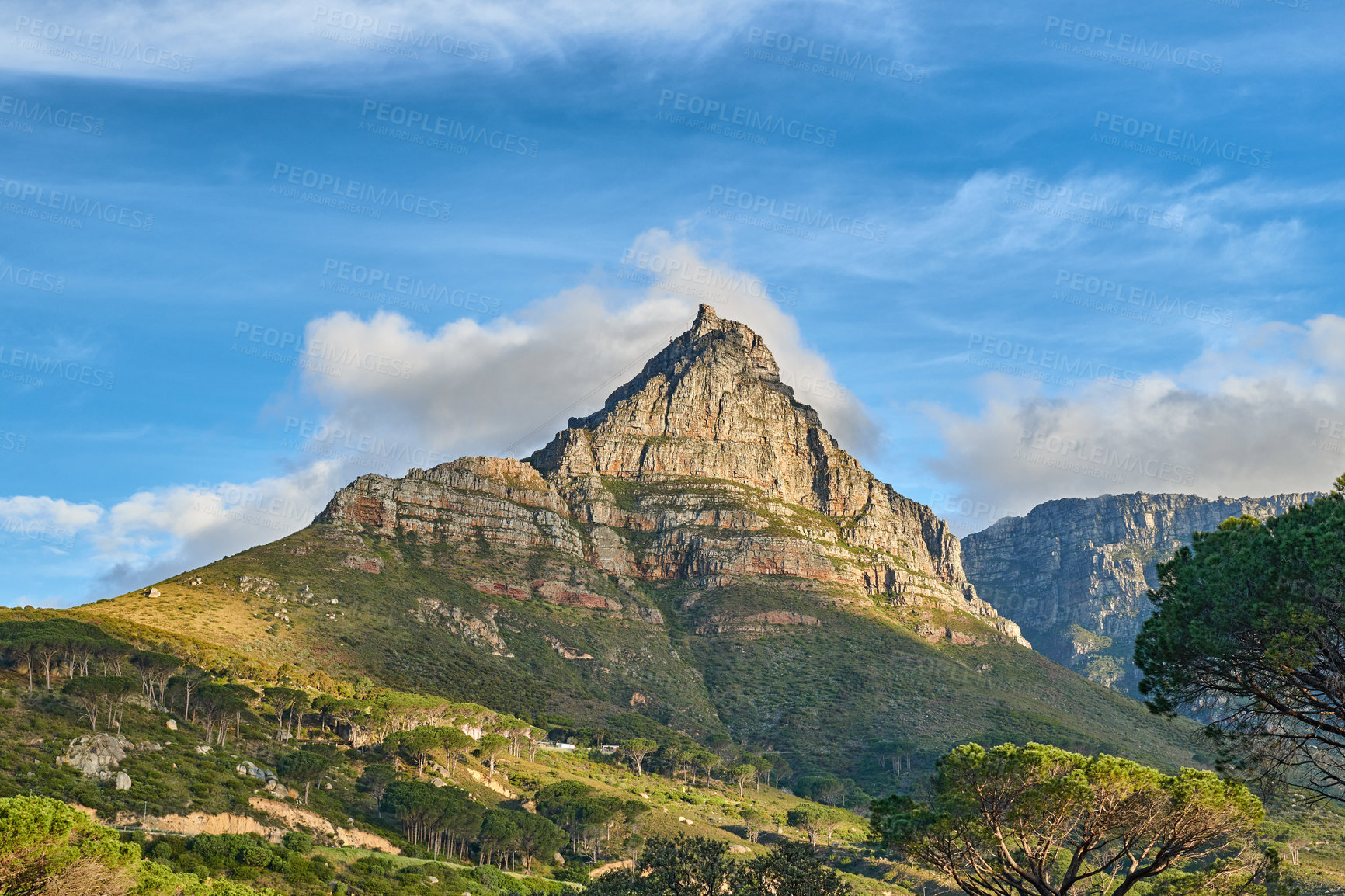 Buy stock photo Copyspace landscape view of mountain with lush trees and plants. Beautiful scenic popular natural landmark and tourist attraction for hiking and adventure on Table Mountain in Cape Town, South Africa