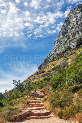 Buy stock photo A scenic walking path in nature with greenery and plants against a blue sky with copy space. Hiking trail leading up the mountain on Lion's Head and Table Mountain in a National Park in Cape Town.