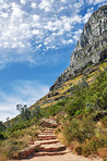 Mountain trails - Lion's Head and Table Mountaion