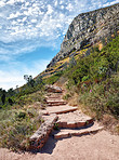 Mountain trails - Lion's Head and Table Mountaion