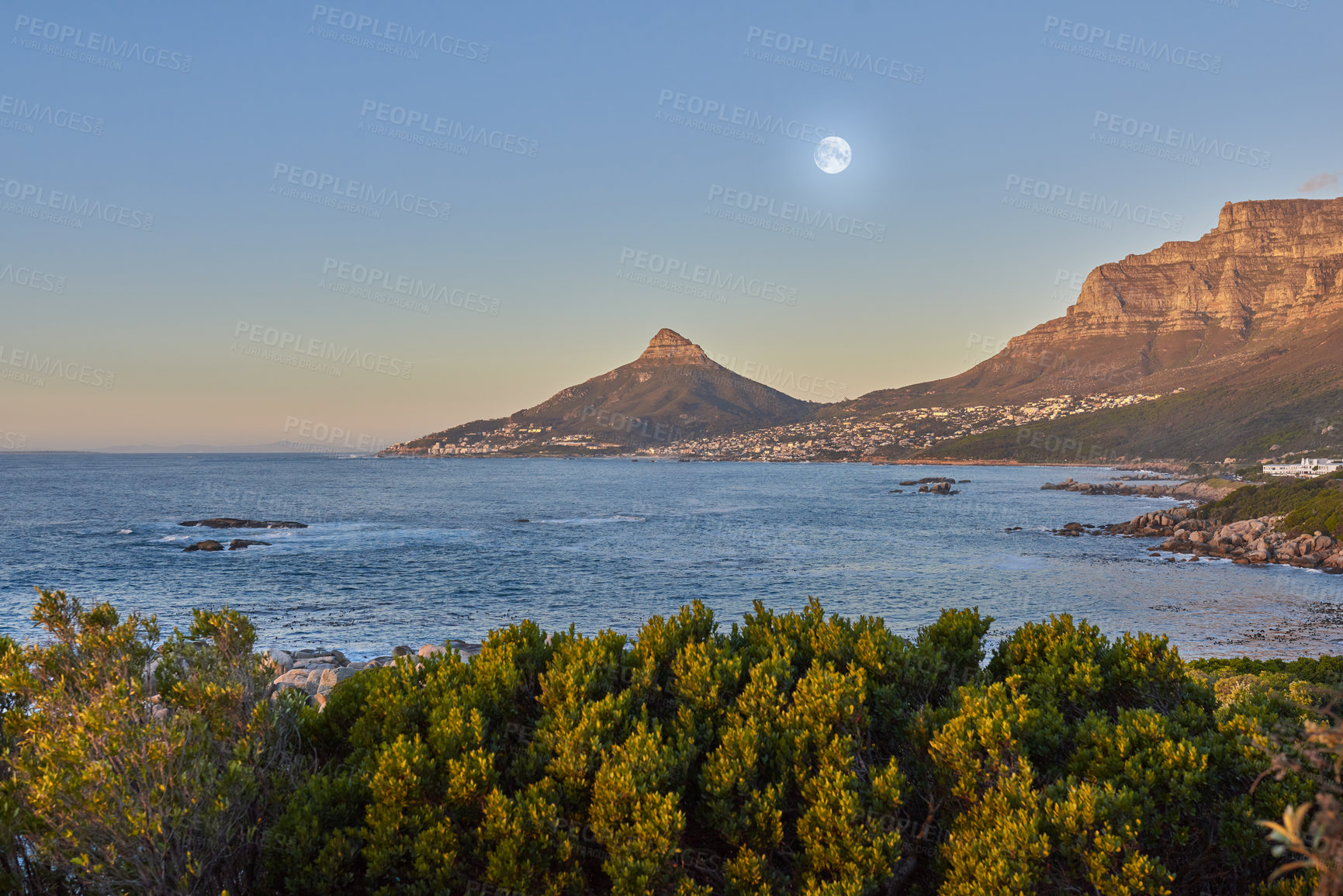 Buy stock photo Lush plants in nature with the ocean and mountain in background against blue sky with a full moon. Scenic popular natural landmark and tourist attraction for adventure while on vacation in Cape Town