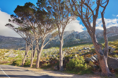 Buy stock photo Road or tar street leading to scenic mountain view with blue sky during summer roadtrip in Cape Town, South Africa. Landscape of lush green hills and mountain pass for weekend exploring and driving