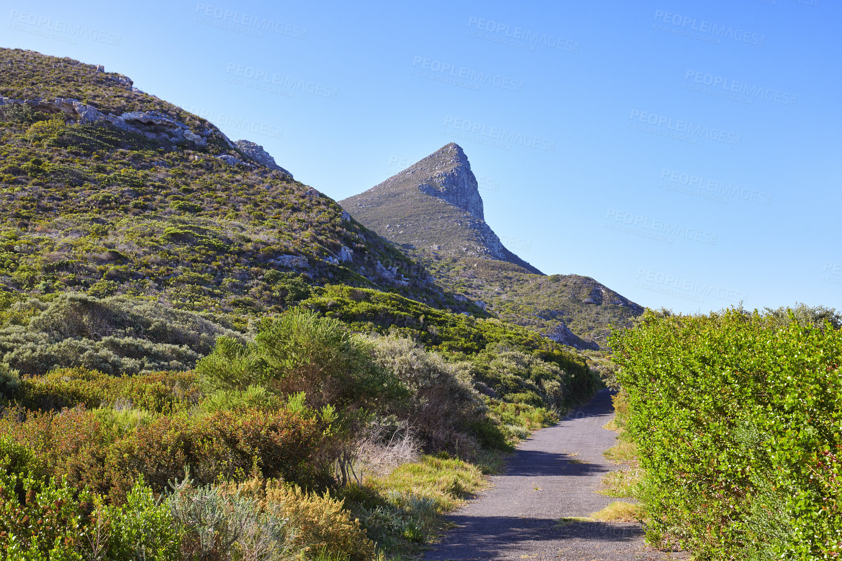 Buy stock photo Road through the wilderness of Cape Point National Park, Western Cape, South Africa