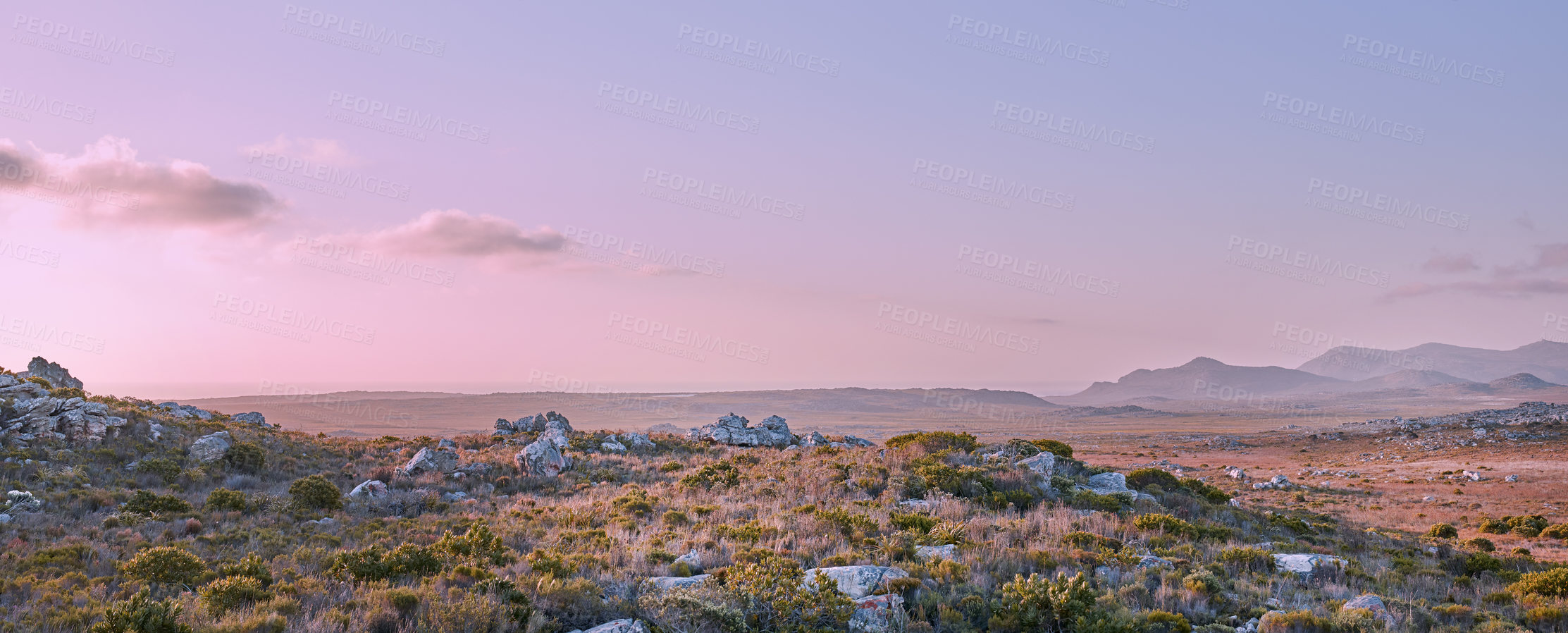 Buy stock photo The wilderness of Cape Point National Park, Western Cape, South Africa