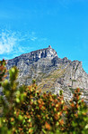 Table Mountain and surroundings  