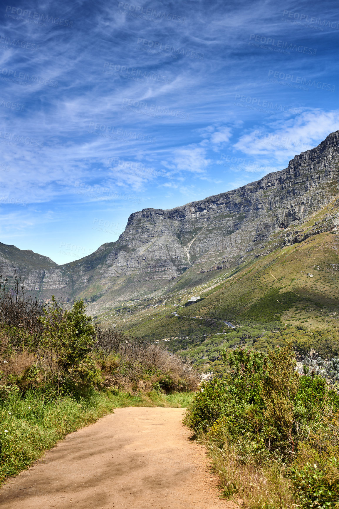 Buy stock photo Beautiful mountain trail with bushes and plants with a cloudy blue sky and copy space. A popular destination for tourist in Table Mountain National park on Lion's Head in Cape Town South Africa