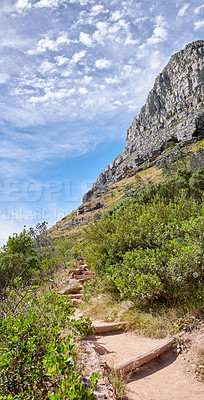 Buy stock photo Beautiful mountain trail on sunny summer day. Rocky area next to colourful plants. Isolated natural space in Table Mountain National park on Lion's Head in Cape Town South Africa 