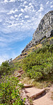 Mountain trails - Lion's Head and Table Mountaion