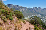 Mountain trails - Lion's Head and Table Mountaion