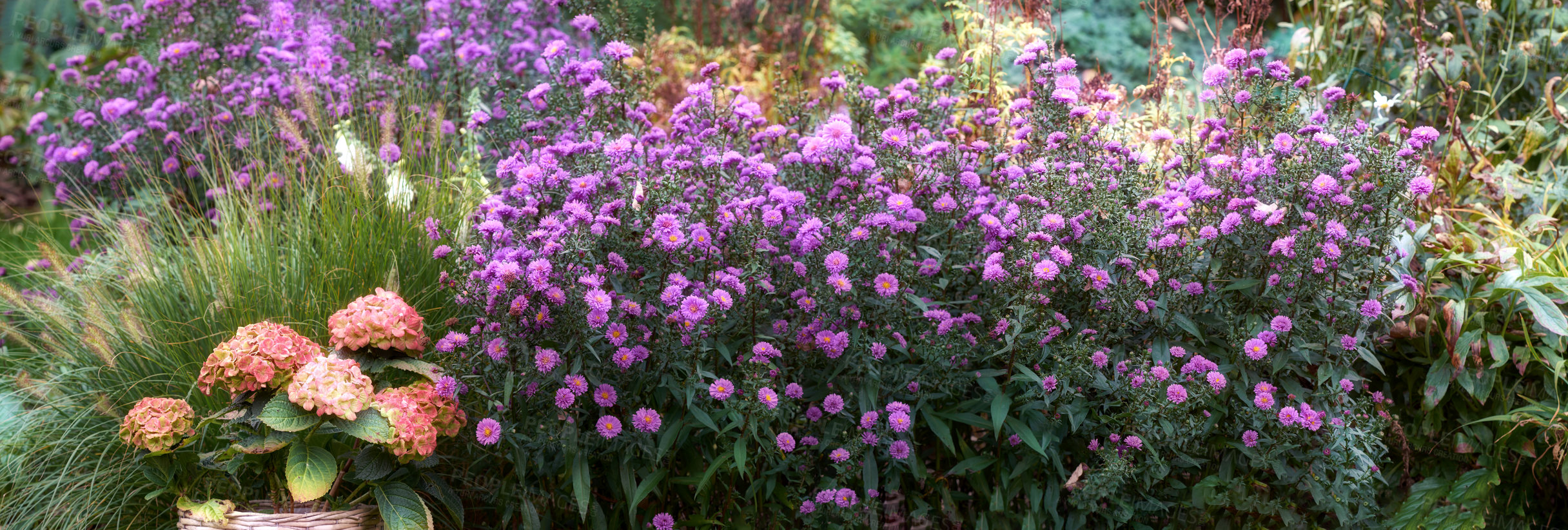 Buy stock photo A series of beautiful garden photos