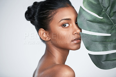 Buy stock photo Cropped shot of a beautiful young woman holding a leaf against his face