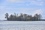 Wintertime in the countryside - Denmark