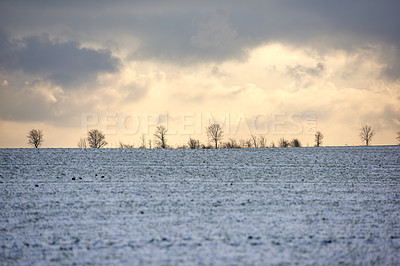 Buy stock photo Danish farmland in wintertime