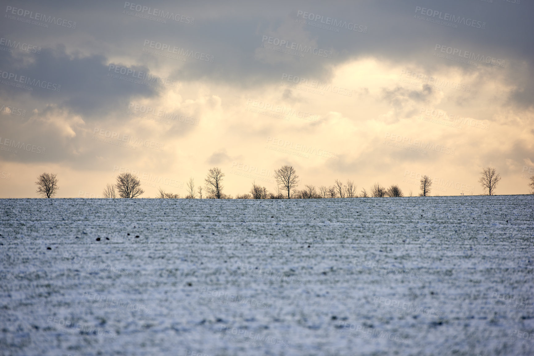 Buy stock photo Danish farmland in wintertime