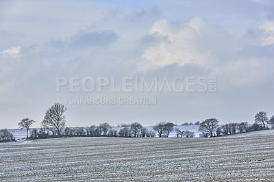 Buy stock photo Danish farmland in wintertime