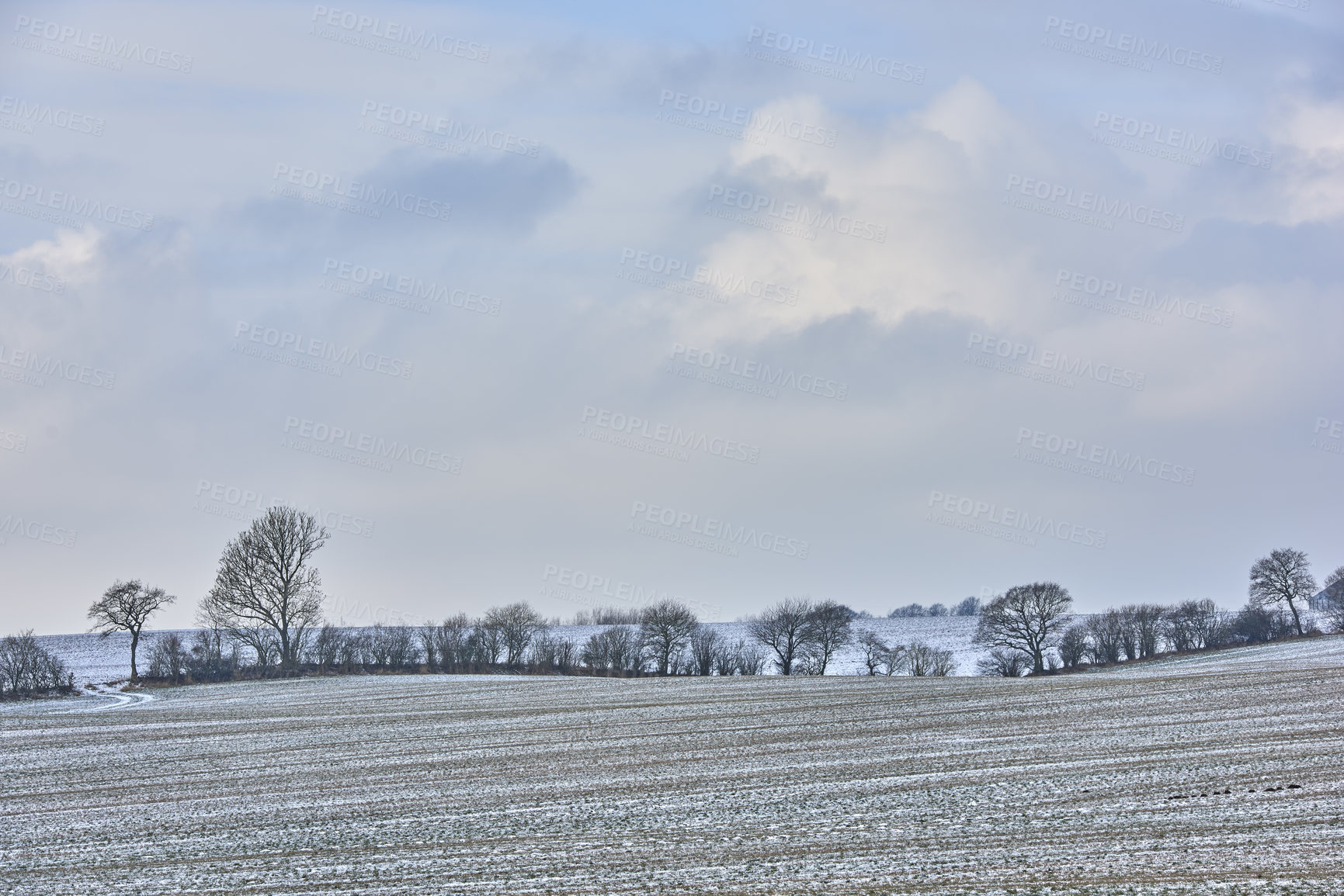 Buy stock photo Danish farmland in wintertime