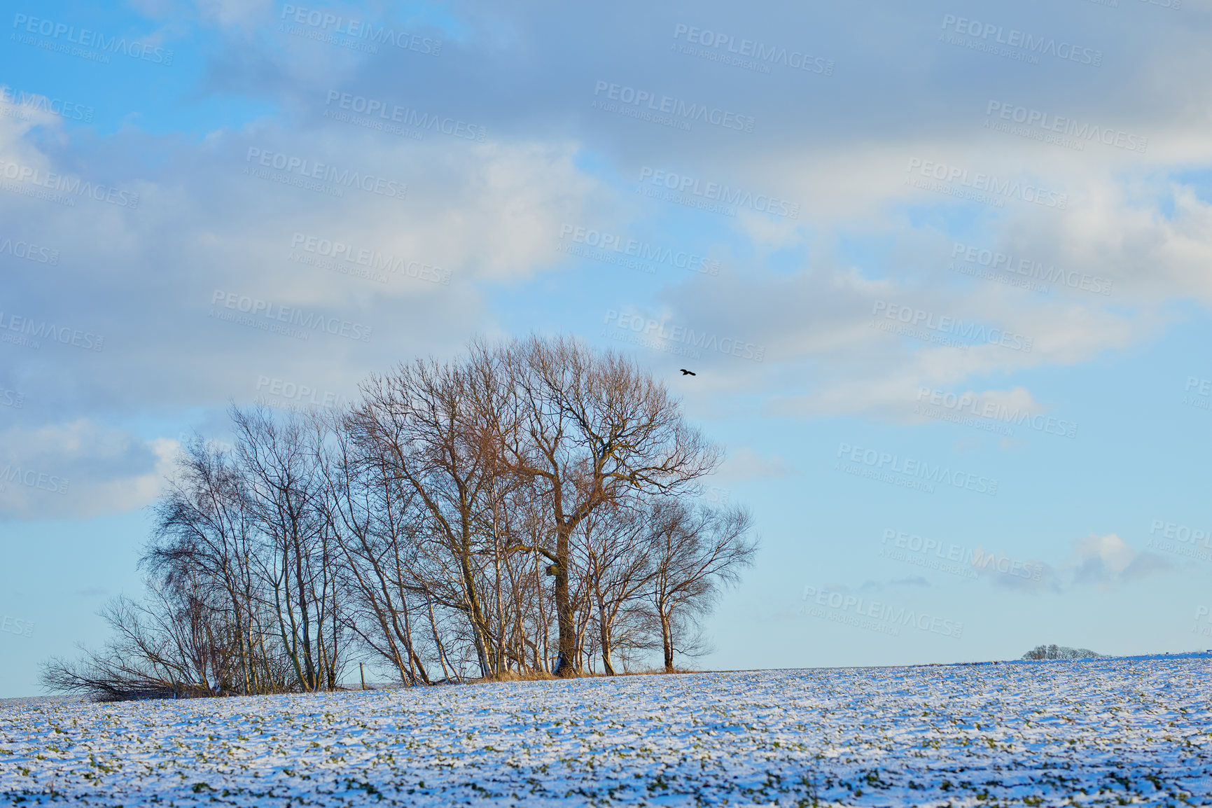 Buy stock photo Denmark in winter