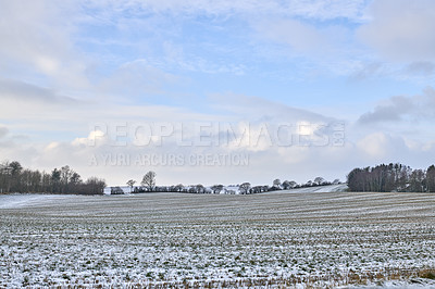 Buy stock photo Danish farmland in wintertime