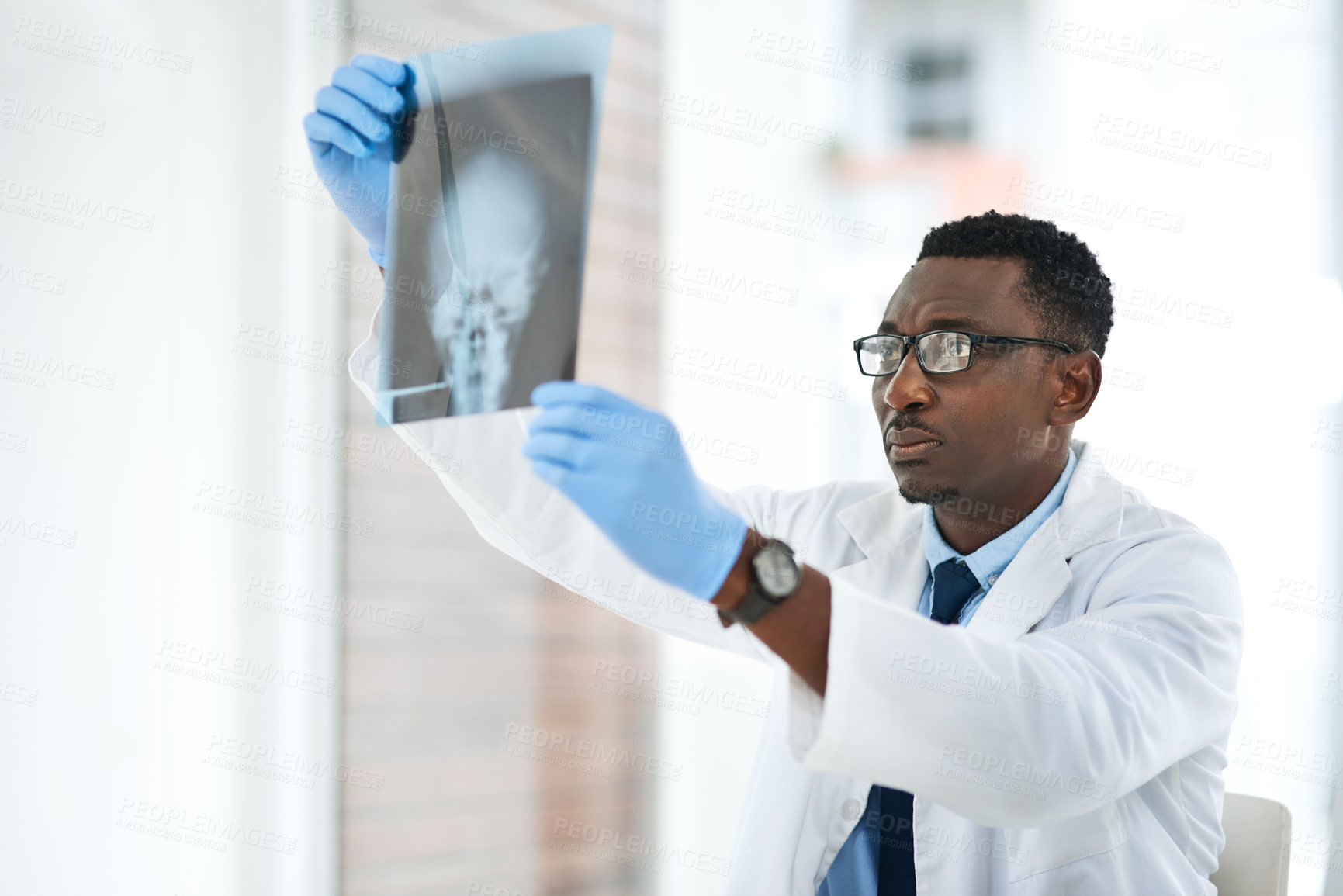 Buy stock photo Shot of a young doctor analysing an x ray of a patient’s skull