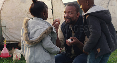 Buy stock photo Man, kids and farm with chicken eggs at countryside for agriculture, teaching and development. Black family, father and children with poultry in farming for harvest, learning and export in Nigeria