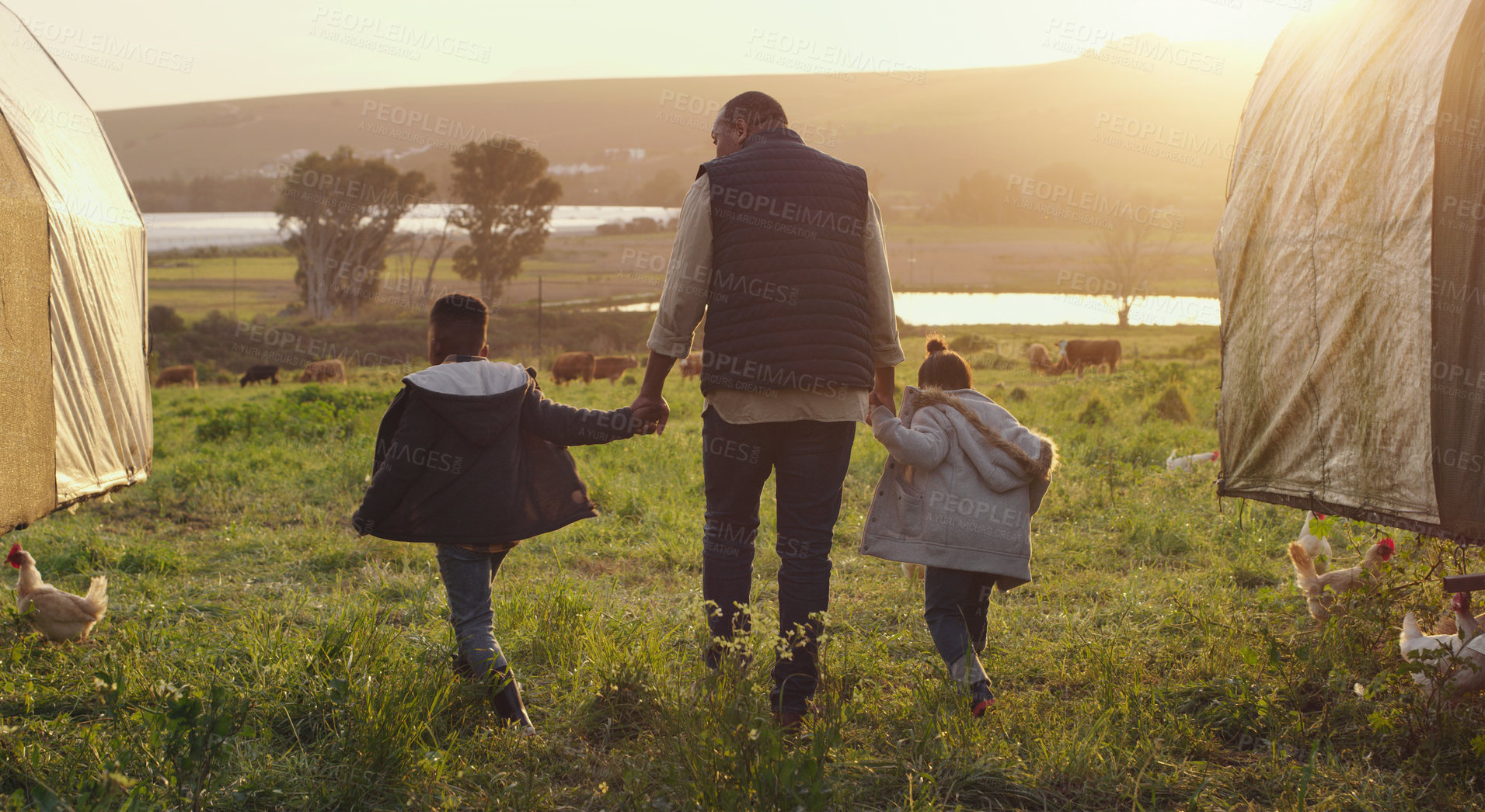 Buy stock photo Family, holding hands and a man walking on a farm with his kids for agriculture or sustainability. Back, farming and a father with children in meadow as a cow farmer in natural countryside at sunset