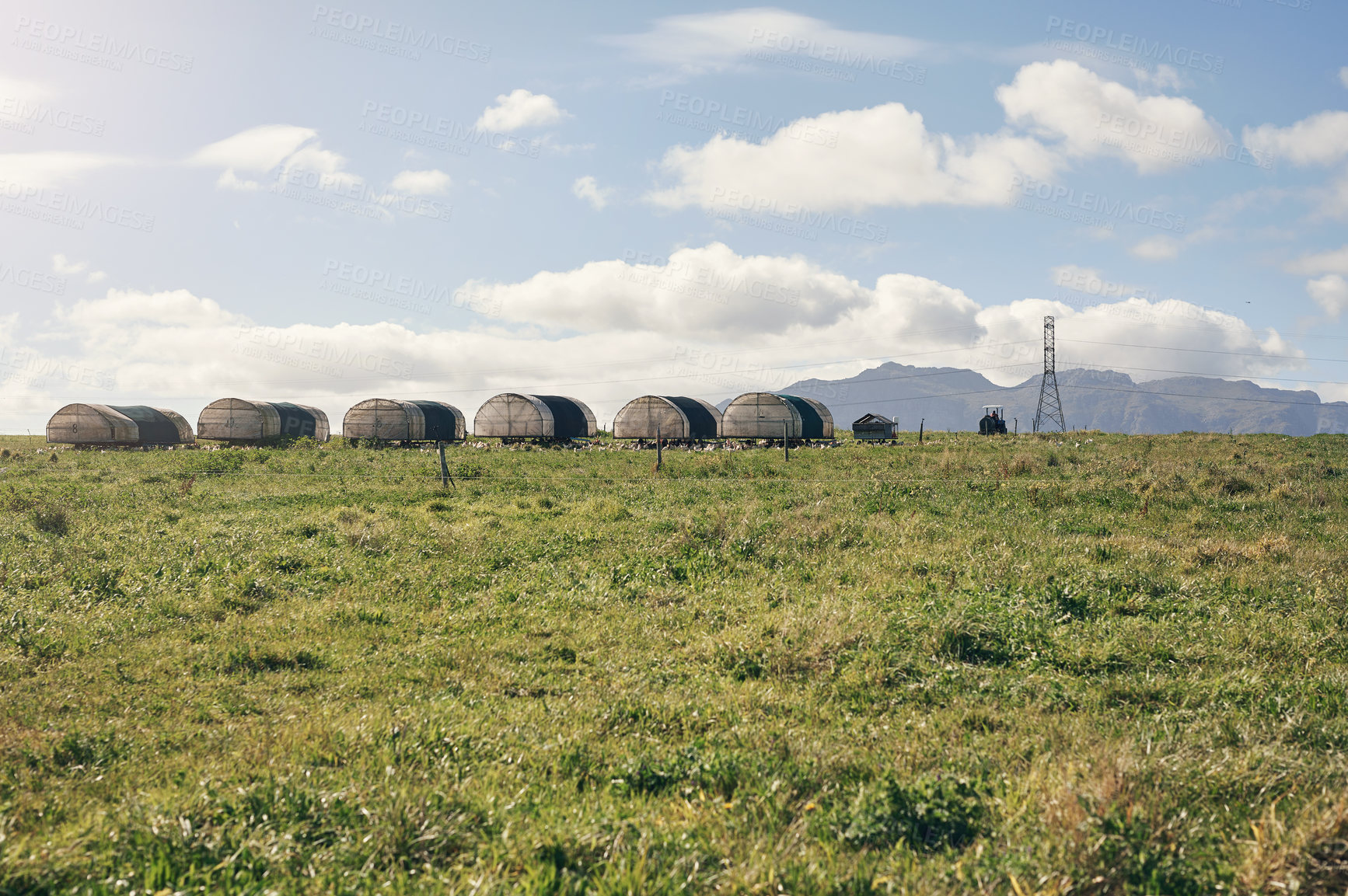 Buy stock photo Shot of chickens and a henhouse on a farm