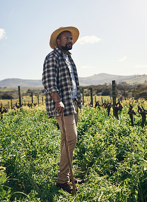 Buy stock photo Shot of a mature man working on a farm