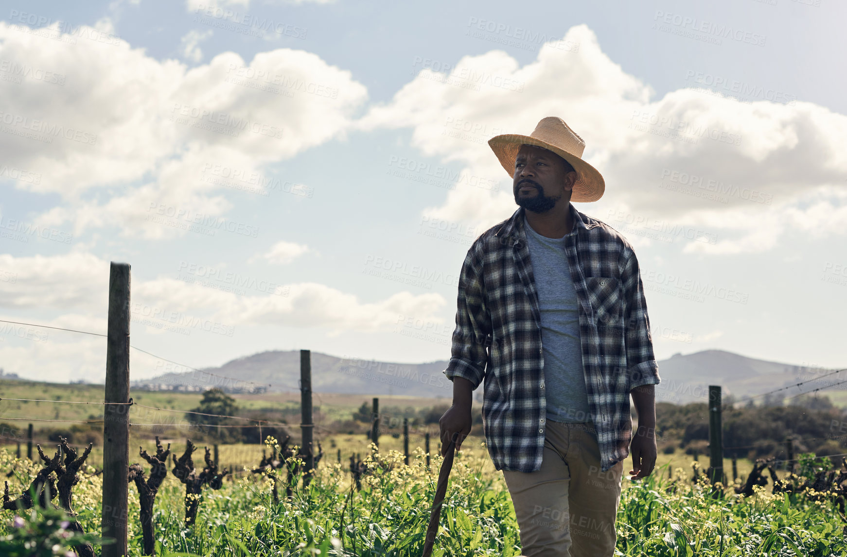 Buy stock photo Shot of a mature man working on a farm