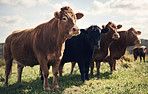 It's no wonder they call us legen-dairy