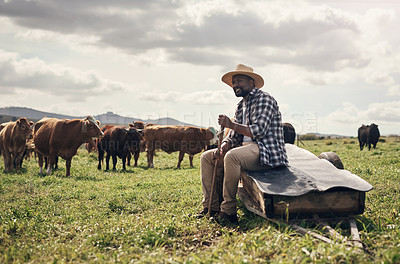 Buy stock photo Shot of a mature man working on a cow farm