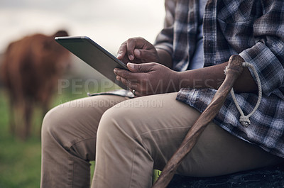Buy stock photo Shot of an unrecognisable man using a digital tablet while working on a cow farm