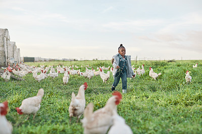 Buy stock photo Shot of a cute little girl having fun on a chicken farm