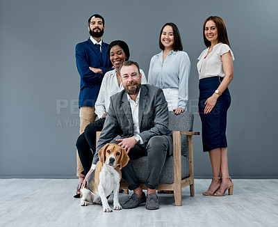 Buy stock photo Portrait of a group of businesspeople posing together with a dog against a grey background