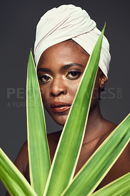 Buy stock photo Studio shot of a beautiful young woman covering herself with a plant against a grey background