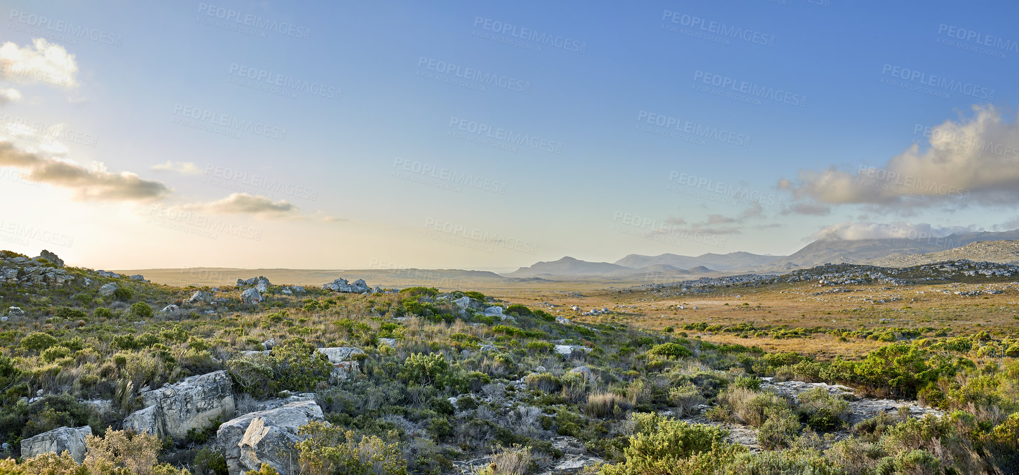 Buy stock photo The wilderness of Cape Point National Park, Western Cape, South Africa