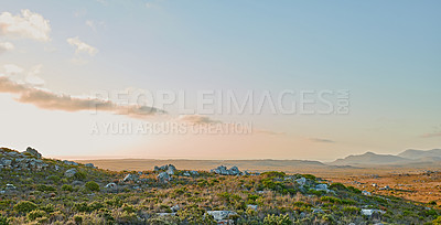 Buy stock photo The wilderness of Cape Point National Park, Western Cape, South Africa