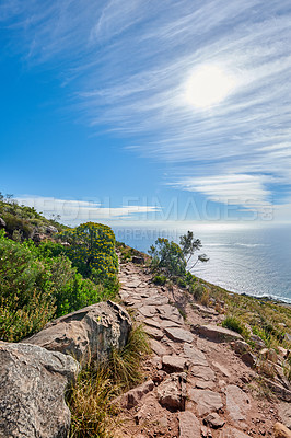 Buy stock photo Lions Head Mountain trail with a relaxing beautiful ocean view. Lush green trees and bushes growing in harmony with nature. Popular attraction for tourists who enjoy outdoor adventure